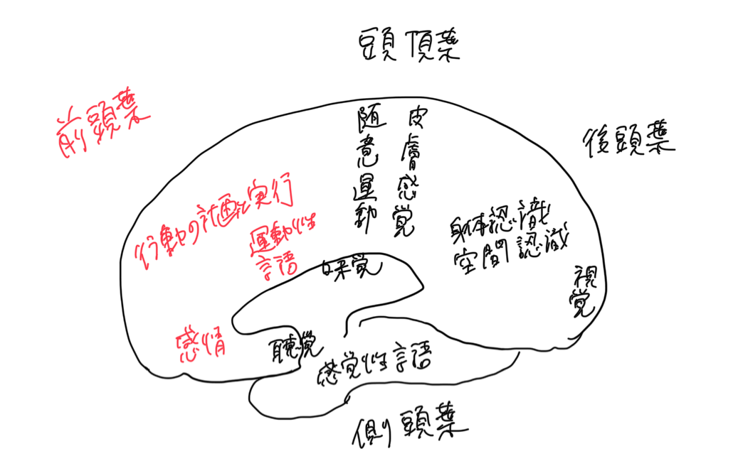 脳科学から分かる、子どもの発達とは何か？ 移住の記録