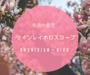 今週のツインレイ 占い　2019/2/18-2/24