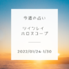 今週のツインレイ占い(2022/01/24-1/30)